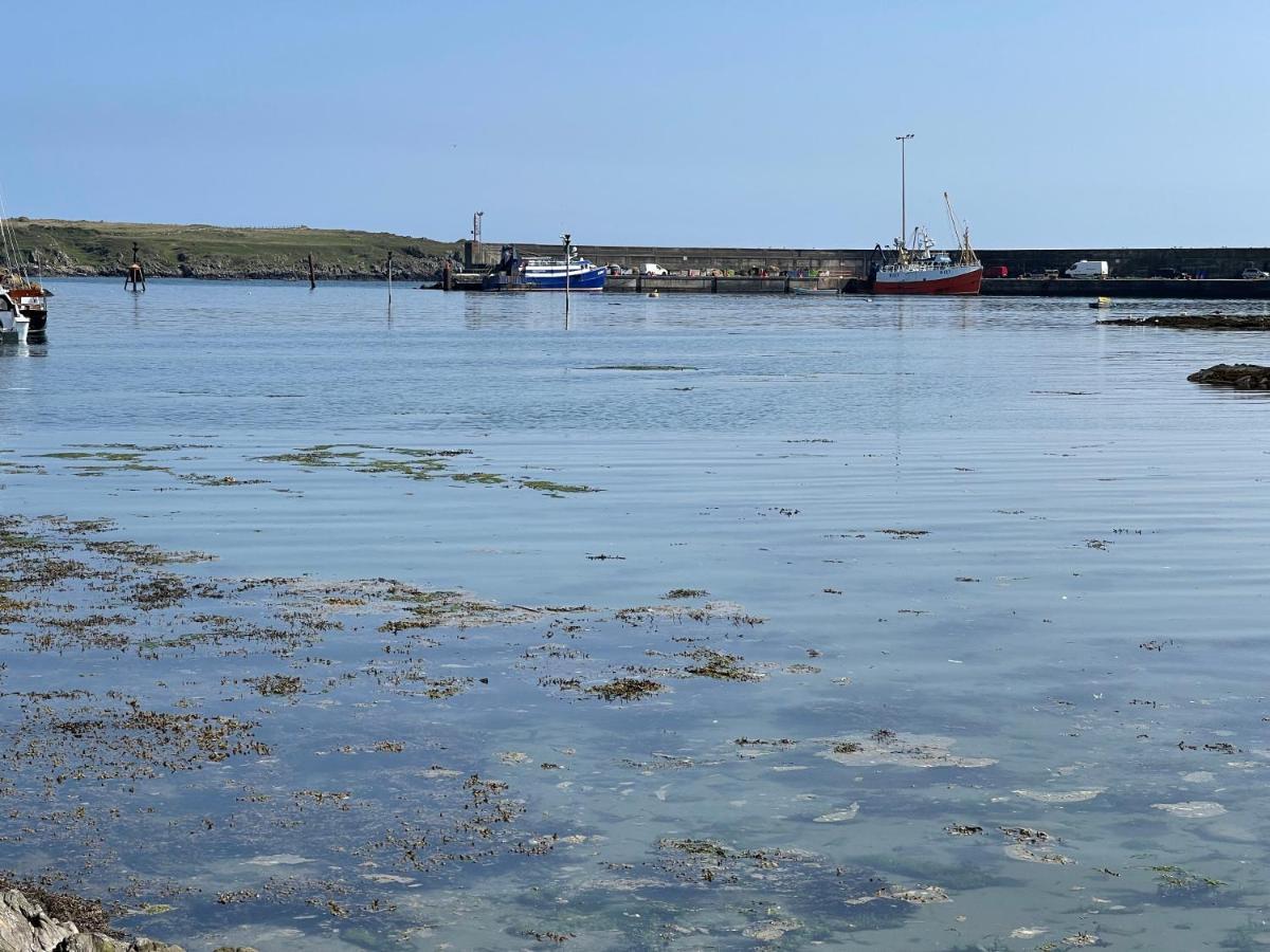 Lovely Apartment Overlooking The Harbour And Bay Ardglass Exterior photo