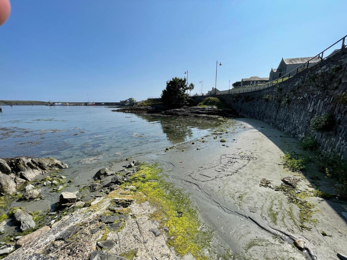 Lovely Apartment Overlooking The Harbour And Bay Ardglass Exterior photo